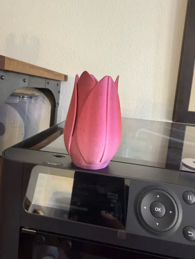 https://makerworld.bblmw.com/makerworld/model/20851/234506/ratings/76f598b0-1eca-11f1-9ada-cfb1ff2b81a7.jpg