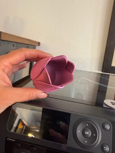 https://makerworld.bblmw.com/makerworld/model/20851/234506/ratings/76f634f0-1eca-11f1-9ada-cfb1ff2b81a7.jpg