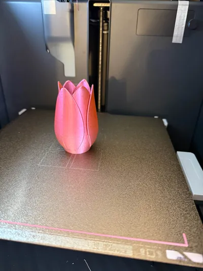 https://makerworld.bblmw.com/makerworld/model/20851/234506/ratings/76fe2430-1eca-11f1-9ada-cfb1ff2b81a7.jpg