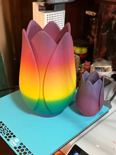 https://makerworld.bblmw.com/makerworld/model/20851/234506/ratings/e62a68d0-af32-11f0-a263-3fa46ae46e99.jpg