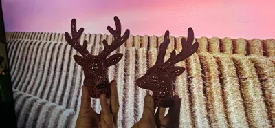 https://makerworld.bblmw.com/makerworld/model/2086726/2255336/ratings/e027c580-d661-11f0-a781-cb3035c215a8.jpg