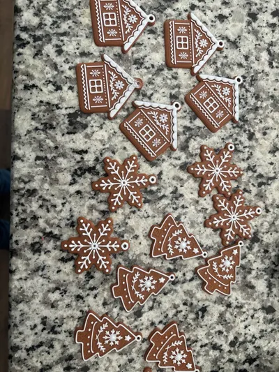 https://makerworld.bblmw.com/makerworld/model/2086747/2261546/ratings/426eb930-dea8-11f0-9296-cbd0a4ef048a.jpg