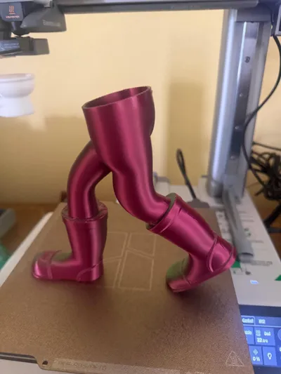 https://makerworld.bblmw.com/makerworld/model/2086975/2255639/ratings/9c946d10-d91c-11f0-ba7f-6d2c84da6f89.jpg