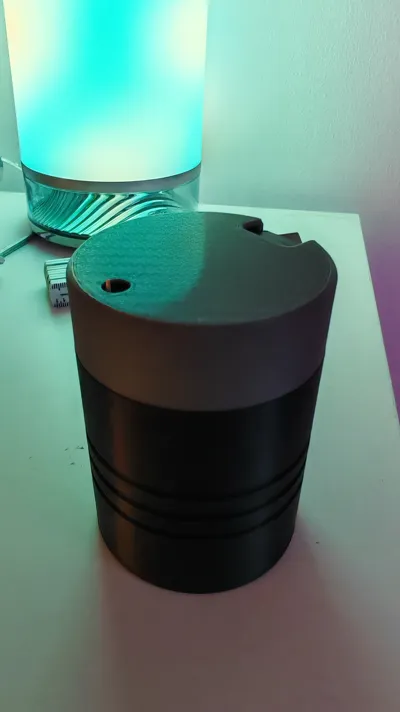 N+B Dispenser per stuzzicadenti per Uccelli, Porta stuzzicadenti in picchio Scatole Automatiche per stuzzicadenti Custodia telescopica per stuzzicadenti a Forma di Uccello per Decorazioni domestiche