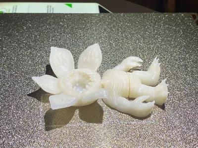 https://makerworld.bblmw.com/makerworld/model/2093004/2262758/ratings/90efbc10-e747-11f0-8f53-5f31faecded8.jpg