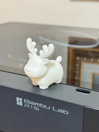 https://makerworld.bblmw.com/makerworld/model/2096808/2267222/ratings/c5dd35a0-d564-11f0-a8da-3fe25a2caba7.jpg