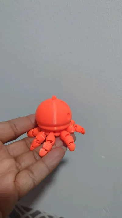https://makerworld.bblmw.com/makerworld/model/2097749/2269315/ratings/aa47ac80-da78-11f0-af90-2d52a500d52d.jpg