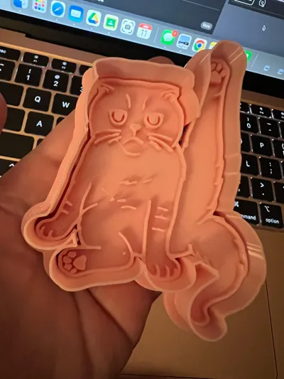 https://makerworld.bblmw.com/makerworld/model/2101059/2272126/ratings/333c8f20-ef59-11f0-a74d-41d9bbaccc35.jpg