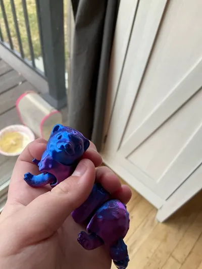 https://makerworld.bblmw.com/makerworld/model/2101346/2272489/ratings/a1bda650-e27f-11f0-b7bd-632c02d630aa.jpg
