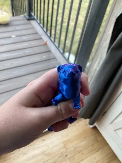https://makerworld.bblmw.com/makerworld/model/2101346/2272489/ratings/a1d30310-e27f-11f0-b7bd-632c02d630aa.jpg