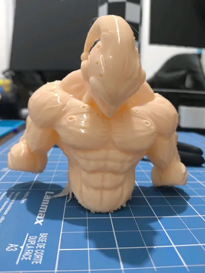 https://makerworld.bblmw.com/makerworld/model/2103062/2274420/ratings/95c708c0-fa42-11f0-bb32-87e92ac7c6de.jpg