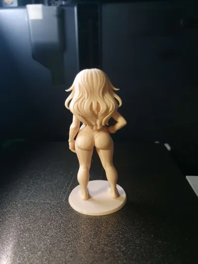 https://makerworld.bblmw.com/makerworld/model/2104951/2276618/ratings/b1e36280-f167-11f0-b4fb-f529b8ec0230.jpg