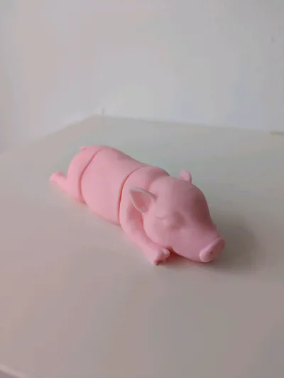 https://makerworld.bblmw.com/makerworld/model/2105563/2277340/ratings/d717a0c0-d754-11f0-81f9-a9dd196ab1dc.jpg