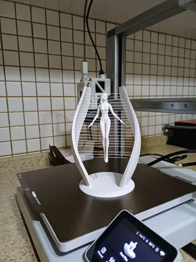 https://makerworld.bblmw.com/makerworld/model/2107126/2279240/ratings/ca2f7f70-ec73-11f0-8cf4-79a5f251304f.jpg