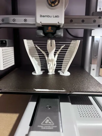 https://makerworld.bblmw.com/makerworld/model/2107126/2279240/ratings/f6840430-d9cf-11f0-8ee3-6be9d89bf914.jpg