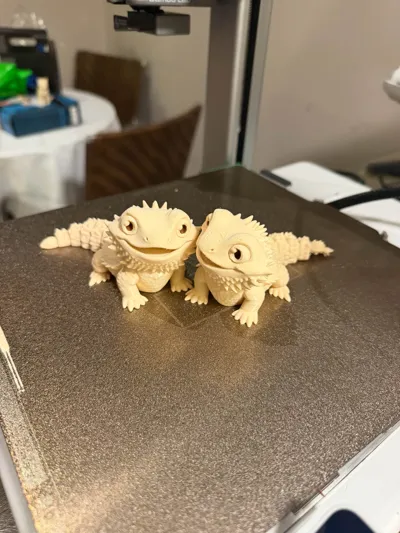 https://makerworld.bblmw.com/makerworld/model/2108809/2281247/ratings/ac014ee0-e014-11f0-a78f-09378a0f14c5.jpg