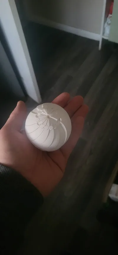https://makerworld.bblmw.com/makerworld/model/2112117/2285170/ratings/a356f780-e6ff-11f0-bff8-e53f4fc1e122.jpg