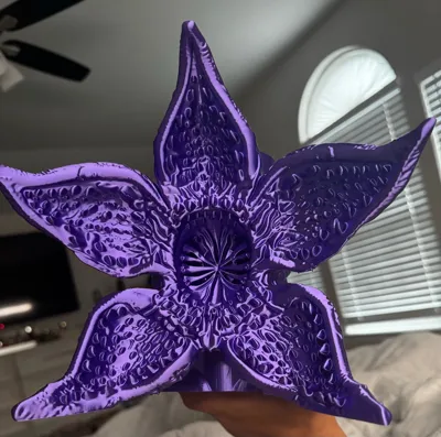 https://makerworld.bblmw.com/makerworld/model/2114486/2288013/ratings/79439b80-e32e-11f0-9a28-1be66831e76b.jpg