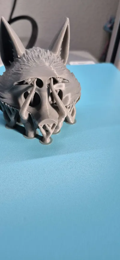 https://makerworld.bblmw.com/makerworld/model/2116125/2289982/ratings/6a8d7680-ddaa-11f0-9a01-337c038d57b2.jpg