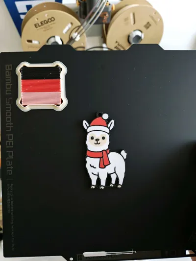 https://makerworld.bblmw.com/makerworld/model/2116276/2290178/ratings/4d062320-e569-11f0-9fd4-61f2637cdebf.jpg