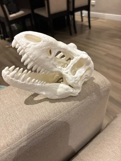 https://makerworld.bblmw.com/makerworld/model/2117027/2291097/ratings/d26093a0-f006-11f0-8d08-8333a19c5ef5.jpg