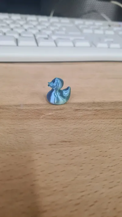 https://makerworld.bblmw.com/makerworld/model/212049/231817/ratings/e4addfa0-49d4-11f0-9b8c-7d7680f444c6.jpg
