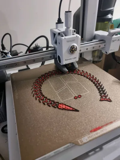 https://makerworld.bblmw.com/makerworld/model/2126489/2302397/ratings/834b6790-f9b1-11f0-bbf2-73ced07def59.jpg