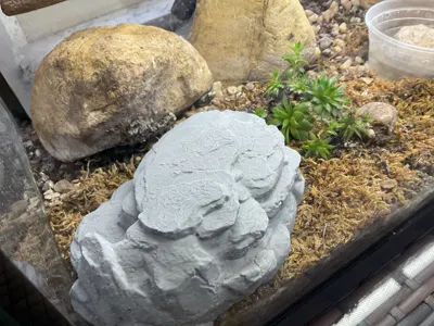 https://makerworld.bblmw.com/makerworld/model/2128566/2304769/ratings/0c867540-e8d2-11f0-984d-4f39541a253e.jpg