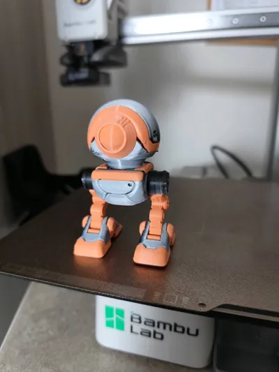https://makerworld.bblmw.com/makerworld/model/2128793/2305033/ratings/ef920e50-e8d5-11f0-bb03-41db2178e45a.jpg