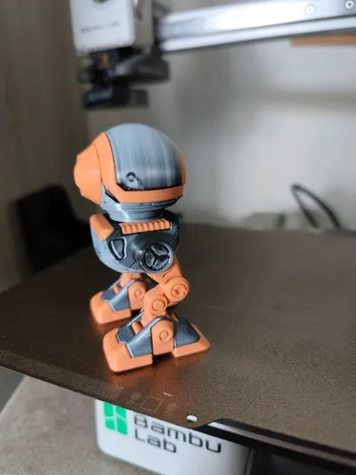 https://makerworld.bblmw.com/makerworld/model/2128793/2305033/ratings/ef92d1a0-e8d5-11f0-bb03-41db2178e45a.jpg