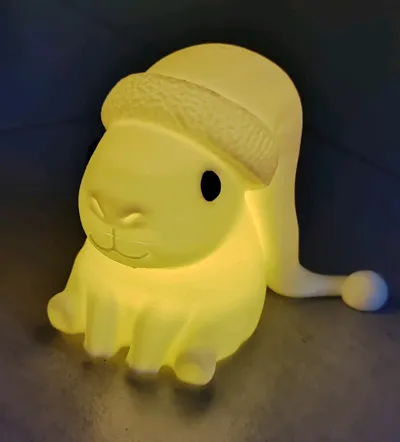 https://makerworld.bblmw.com/makerworld/model/2130827/2307434/ratings/251c8140-f178-11f0-8610-37f6f64d409f.jpg