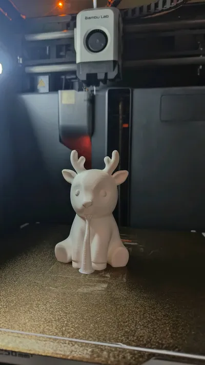 https://makerworld.bblmw.com/makerworld/model/2131196/2307884/ratings/9df52eb0-df34-11f0-9285-c588ddce6b69.jpg