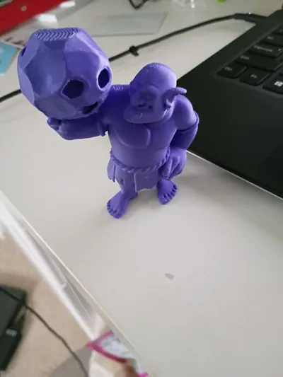 https://makerworld.bblmw.com/makerworld/model/2132300/2313259/ratings/fb498b10-fbc7-11f0-a0c7-c5bedf94ac13.jpg