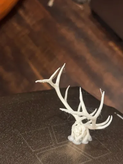 https://makerworld.bblmw.com/makerworld/model/2132641/2309623/ratings/817b7b10-e0ae-11f0-bb07-f7ea638efe9e.jpg