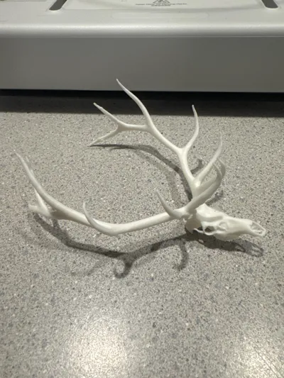 https://makerworld.bblmw.com/makerworld/model/2132641/2309623/ratings/81928580-e0ae-11f0-bb07-f7ea638efe9e.jpg