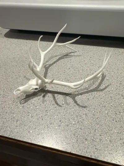 https://makerworld.bblmw.com/makerworld/model/2132641/2309623/ratings/81928581-e0ae-11f0-bb07-f7ea638efe9e.jpg