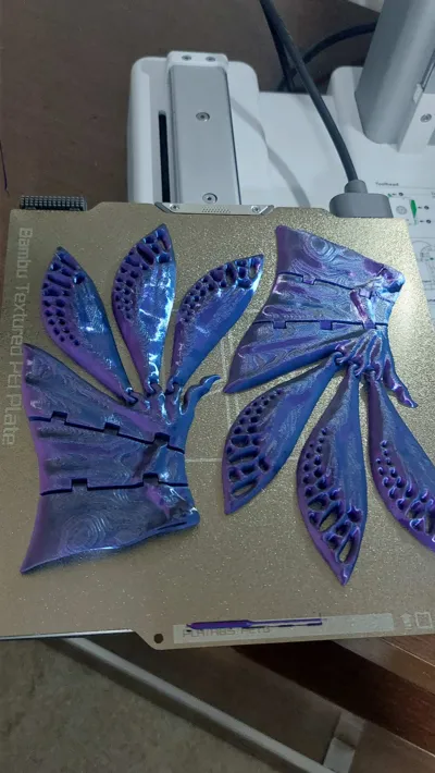 https://makerworld.bblmw.com/makerworld/model/2133714/2311238/ratings/2aa8f030-f9ca-11f0-84c3-af5c9cd6a343.jpg