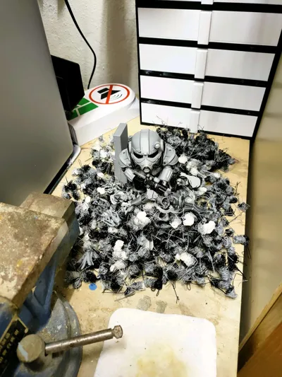 https://makerworld.bblmw.com/makerworld/model/2134106/2311316/ratings/a6cd5b50-e2a6-11f0-b4ae-23025ed8aced.jpg