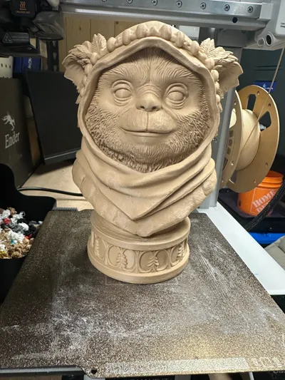 https://makerworld.bblmw.com/makerworld/model/2134341/2311581/ratings/c7328230-f3bd-11f0-821d-15accdd8c214.jpg
