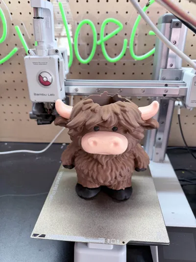 https://makerworld.bblmw.com/makerworld/model/2135883/2313347/ratings/488d2490-ee71-11f0-8e06-37d3097a2d10.jpg