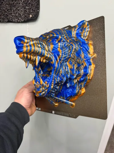 https://makerworld.bblmw.com/makerworld/model/2137698/2315398/ratings/2d250be0-e783-11f0-9a1b-2d9c5f0a16d8.jpg