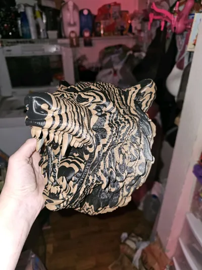 https://makerworld.bblmw.com/makerworld/model/2137698/2315398/ratings/f6b92b60-ec4e-11f0-95ff-e380ecde0f94.jpg