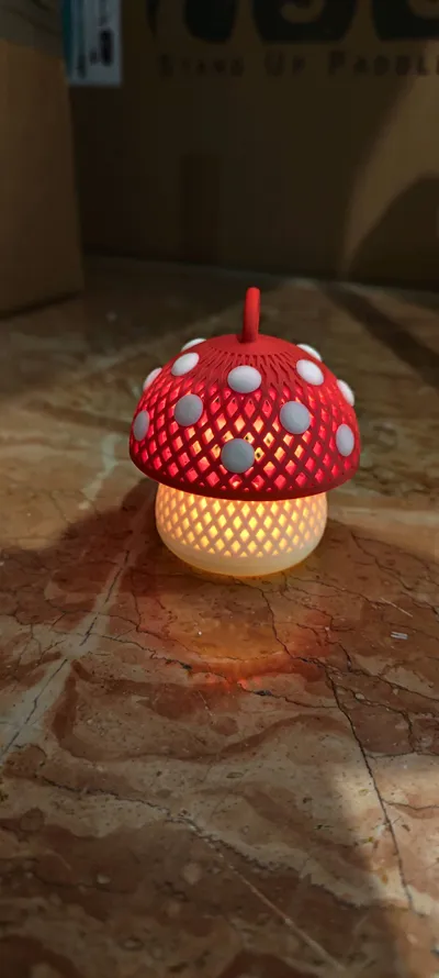 https://makerworld.bblmw.com/makerworld/model/2138708/2316635/ratings/18631840-e6b2-11f0-ba65-bd174f37af76.jpg