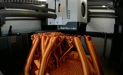 https://makerworld.bblmw.com/makerworld/model/2140549/2318680/ratings/8b106570-f4de-11f0-9aa2-d1349968594b.jpg