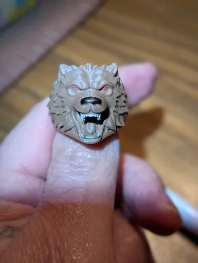 https://makerworld.bblmw.com/makerworld/model/2140872/2319030/ratings/8e9c4d50-f4c8-11f0-a461-051e498fdcfd.jpg