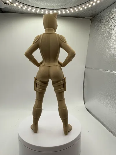https://makerworld.bblmw.com/makerworld/model/2140914/2319075/ratings/807cc8b0-eb83-11f0-a7fc-d724822bff38.jpg