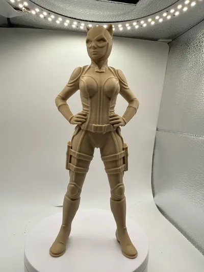 https://makerworld.bblmw.com/makerworld/model/2140914/2319075/ratings/80d71db0-eb83-11f0-a7fc-d724822bff38.jpg