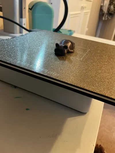 https://makerworld.bblmw.com/makerworld/model/2142220/2320571/ratings/af51fa80-eefc-11f0-846e-0be820f1b692.jpg