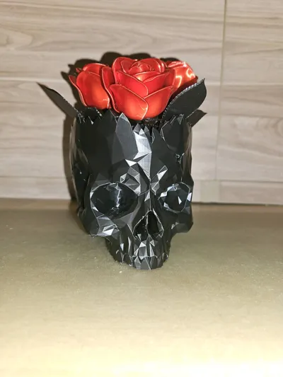 https://makerworld.bblmw.com/makerworld/model/2144301/2322825/ratings/099f8110-f119-11f0-a463-aba665e9412f.jpg