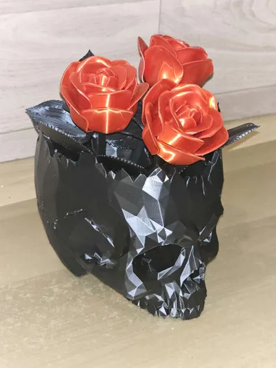 https://makerworld.bblmw.com/makerworld/model/2144301/2322825/ratings/09ab8f00-f119-11f0-a463-aba665e9412f.jpg